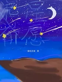 流星祈愿" width="120" height="150"