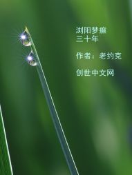 浏阳梦癫三十年