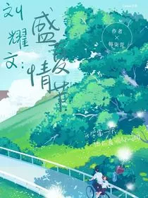 刘耀文：盛夏情节" width="120" height="150"