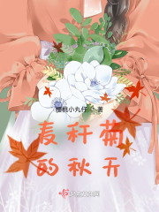 麦秆菊的秋天" width="120" height="150"