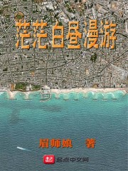 茫茫白昼漫游" width="120" height="150"