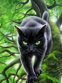 猫武士——银河之下" width="120" height="150"