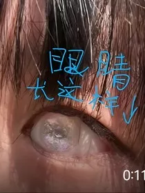 猫月冰与精灵之约" width="120" height="150"