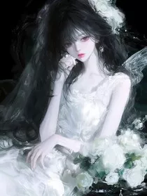 美景如安jx" width="120" height="150"