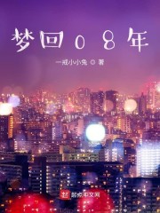 梦回08年