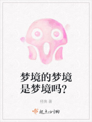 梦境的梦境是梦境吗？