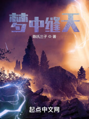 梦中缝天" width="120" height="150"