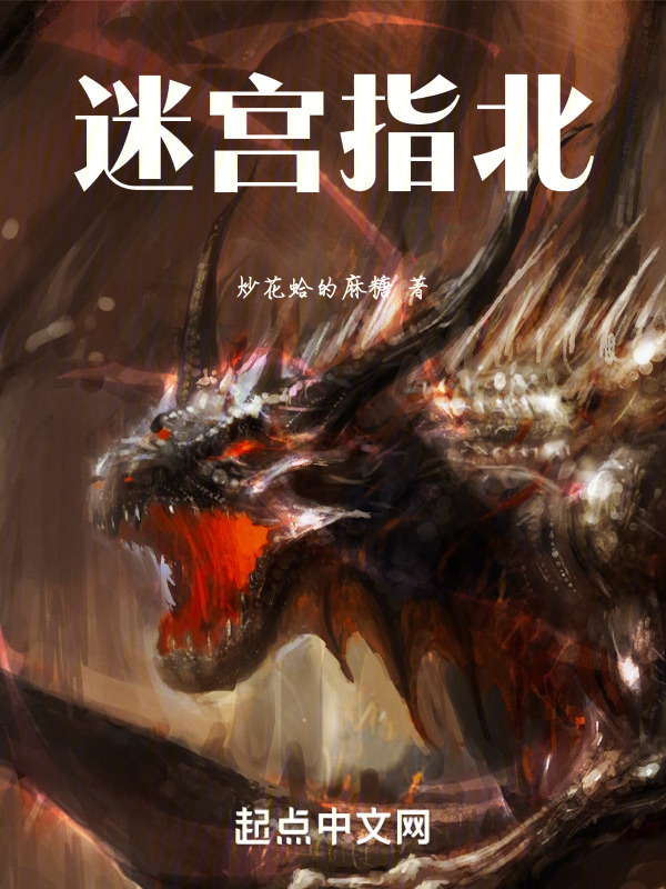 迷宫指北" width="120" height="150"
