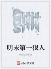 明末第一狠人" width="120" height="150"