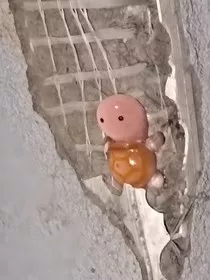 名望真的那么重要吗" width="120" height="150"