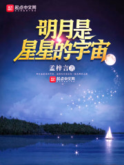 明月是星星的宇宙