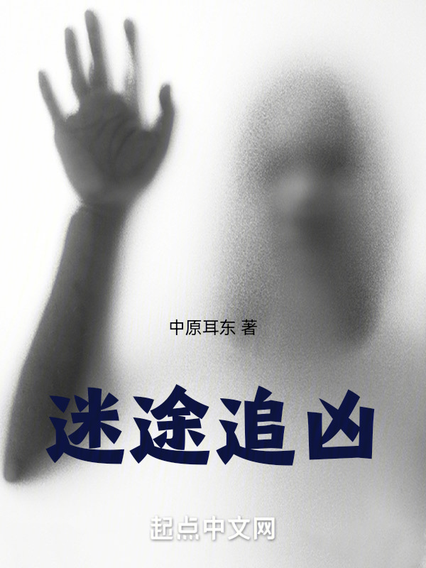迷途追凶" width="120" height="150"