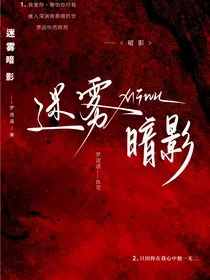 迷雾暗影" width="120" height="150"