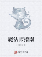 魔法师指南