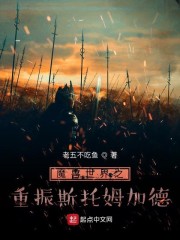 魔兽世界之重振斯托姆加德" width="120" height="150"