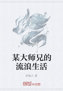 某大师兄的流浪生活