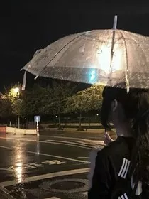暮色中的鸢尾花" width="120" height="150"