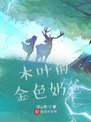 木叶的金色奶爸" width="120" height="150"