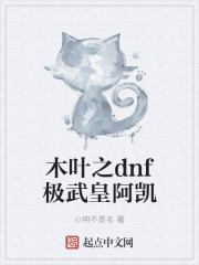 木叶之dnf极武皇阿凯