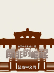 南非的崛起" width="120" height="150"
