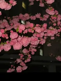 南雨潇潇" width="120" height="150"