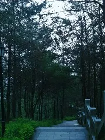 那年想象夏天" width="120" height="150"