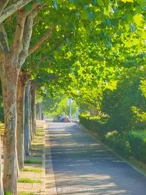 那年夏天，那年的我和你" width="120" height="150"