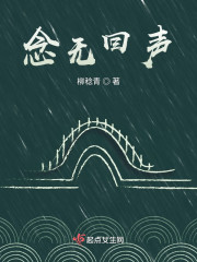 念无回声" width="120" height="150"