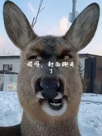 你给我的糖真甜，骗你的，真……苦……" width="120" height="150"