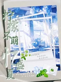 柠檬不萌忆盛夏" width="120" height="150"
