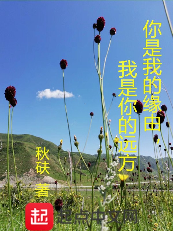 你是我的缘由，我是你的远方" width="120" height="150"