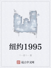 纽约1995