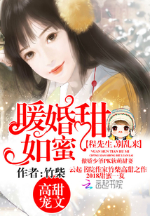 暖婚甜如蜜：程先生，别乱来！