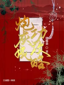 炮灰成功攻略" width="120" height="150"