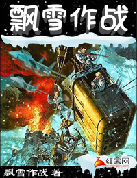 飘雪作战" width="120" height="150"
