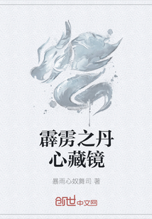 霹雳之丹心藏镜" width="120" height="150"