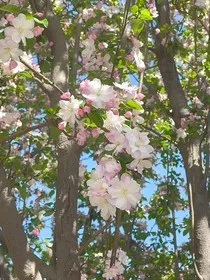 破茧重生之逆流而上" width="120" height="150"