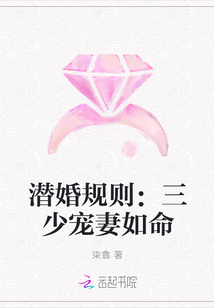 潜婚规则：三少宠妻如命