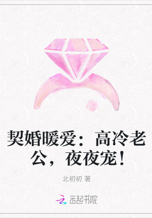 契婚暖爱：高冷老公，夜夜宠！