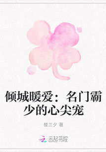 倾城暖爱：名门霸少的心尖宠