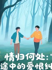 情归何处：迷途中的爱恨纠葛" width="120" height="150"