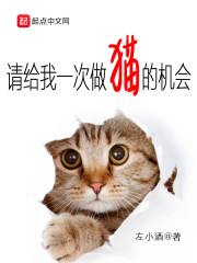 请给我一次做猫的机会