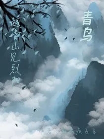 青鸟之越青山见烈阳" width="120" height="150"