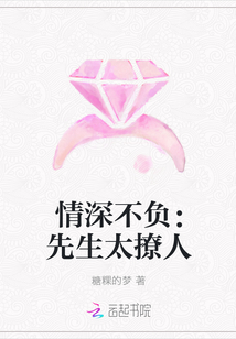 情深不负：先生太撩人