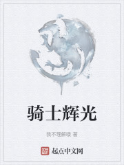 骑士辉光" width="120" height="150"