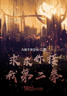 求求你接我第二拳" width="120" height="150"