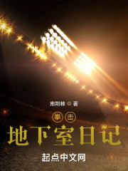 拳击：地下室日记" width="120" height="150"