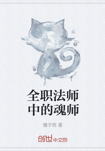 全职法师中的魂师