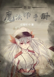 全职魔法师手册