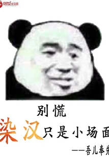 染汉